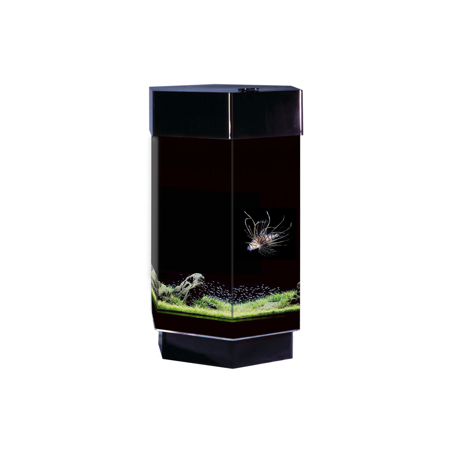 Tucker Murphy Pet™ Alan 8 Gallon Scape Hexagon Alanrium Kit